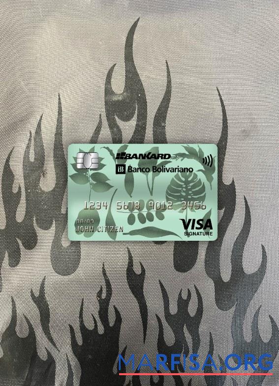 Printable Ecuador Banco Bolivariano bank visa signature card photolook front sample